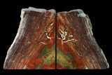 Tall, Red And Yellow Jasper Bookends - Marston Ranch, Oregon #171991-1